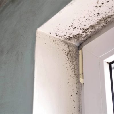 ¿Cómo quitar el moho de la pared de manera definitiva?