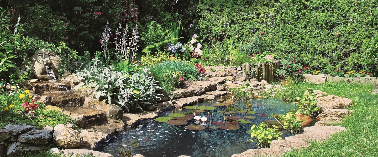 estanque jardín