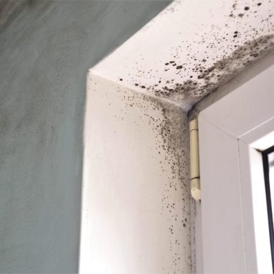 Cómo arreglar una pared con humedad y evitar que vuelva a aparecer