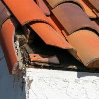 Reparación de tejados: todo lo que debes saber para arreglar el tuyo
